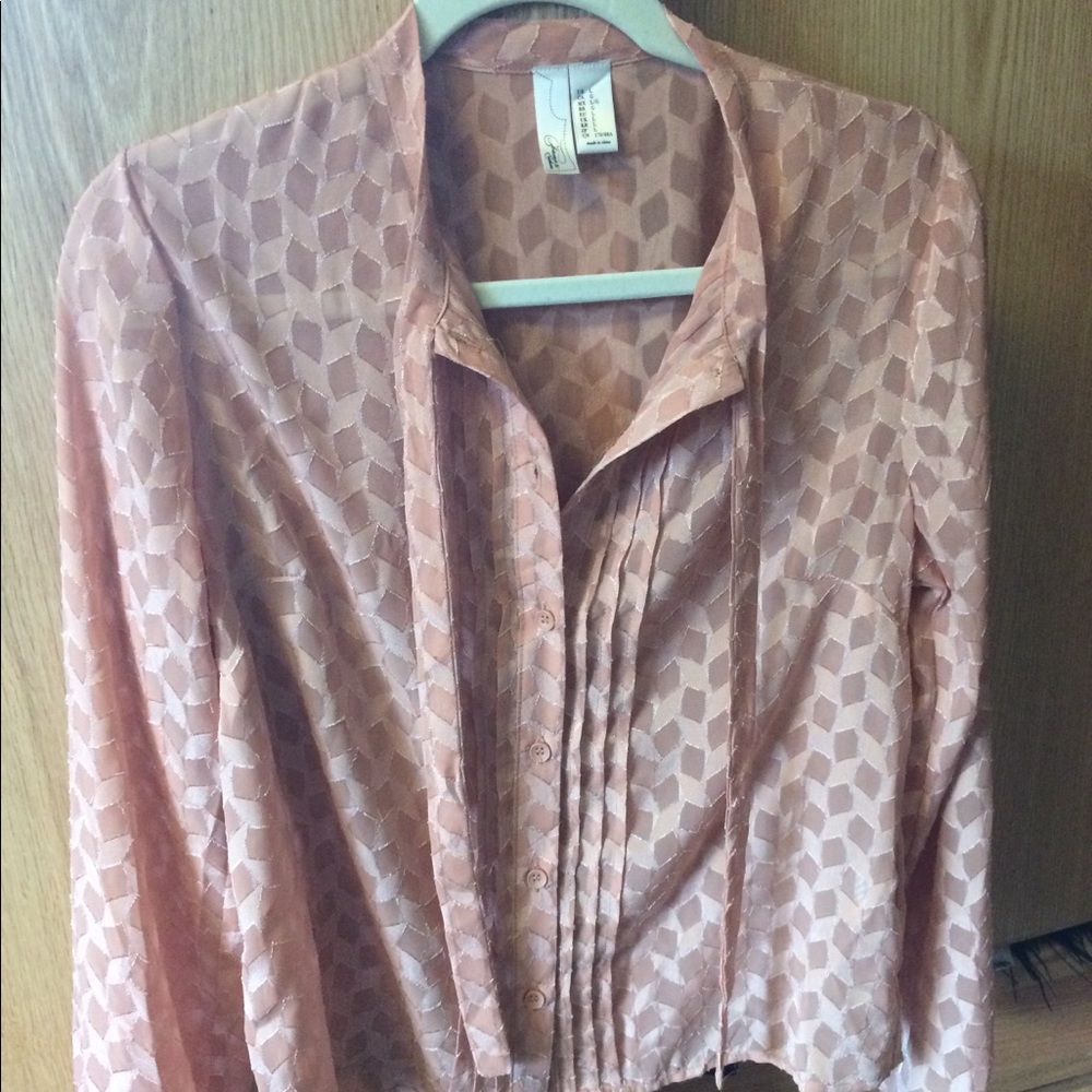Pink sheer blouse